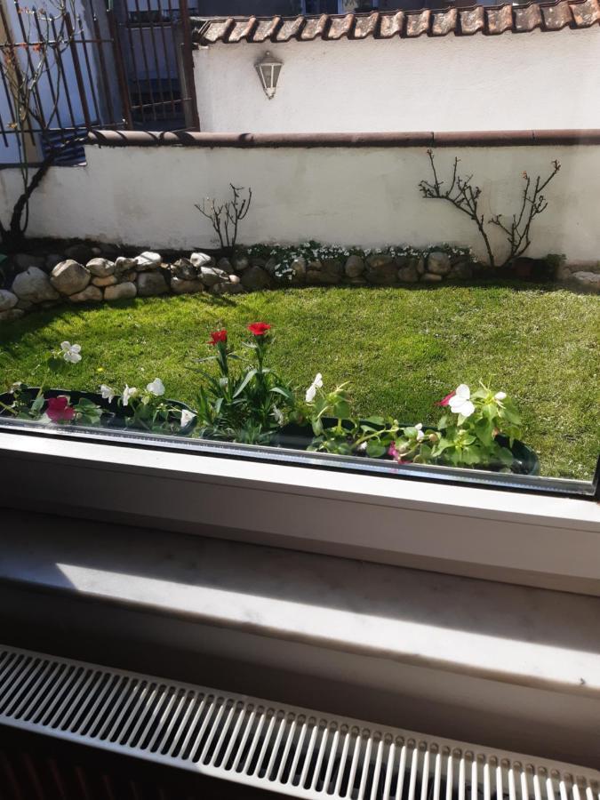 Apartman Mitic Požarevac Buitenkant foto